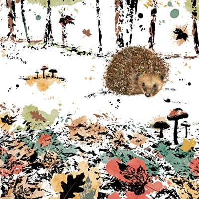 Image of RSPB Field &amp; Forest Card Hedgehog
