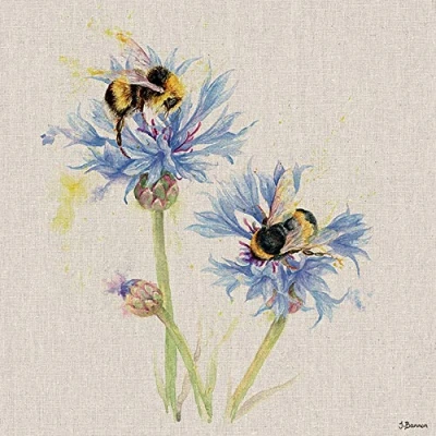 Image of Jane Bannon WDC91687 Canvas Print 30 x cm (Bees on Cornflowers), Multi Colour,