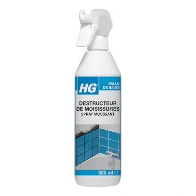 Image of HG Mould Destroyer Foaming Spray 500 ml
