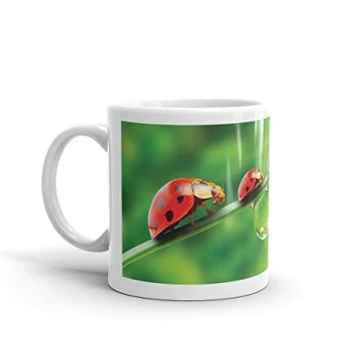 Image of DV Mugs Ltd Beautiful Lady Bird Mug Ladybird Ladybug Insect Bug Kids Mum Auntie #8245 (Mug)