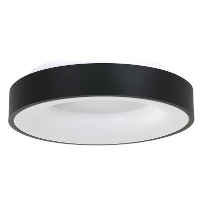 Image of Ring Sled Cylindrical Ceiling Light Black Matt