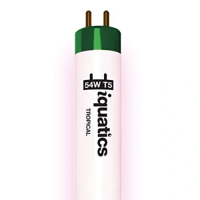 Image of iQuatics Juwel Compatible Aquarium Fluorescent Light Bulb T5 (Single), Tropical, 54w 1047mm 42&quot;