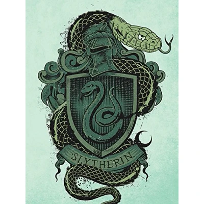 Image of Pyramid International HARRY POTTER Large Canvas Print Slytherin 60cm x 80cm Official Merchandise