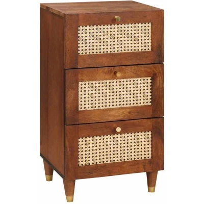 Image of Media Storage Cabinets &amp; Racks Brown Cane and solid mango wood Vidaxl