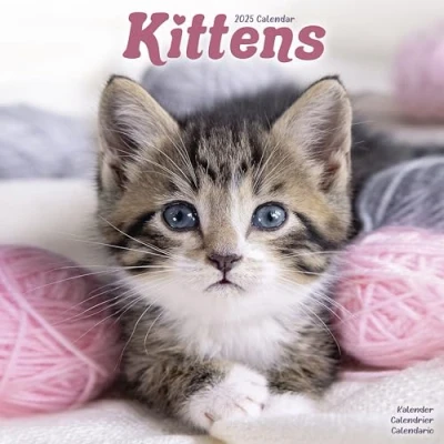 Image of Kittens 2025 Square Wall Calendar Animal, Cat, Pet Calendar: Original Avonside Kalender [Mehrsprachig] [Kalender]