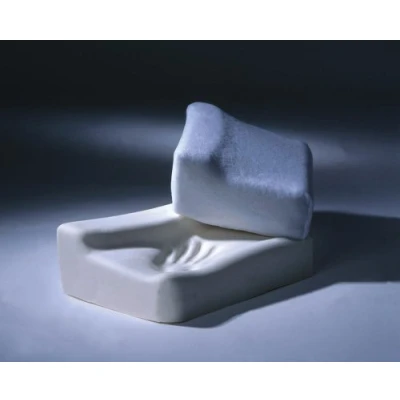 Image of Harley Designer Standard Pillow