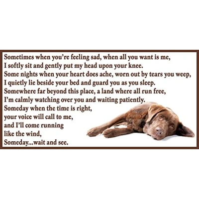 Image of Chocolate Labrador dog bereavement pet loss sympathy memorial Flexible Fridge Magnet Someday