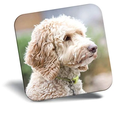 Image of Destination Vinyl ltd Fridge Magnet Labradoodle Dog Labrador Poodle Puppy 15534
