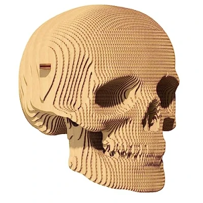 Image of Experience the enchantment of 3D puzzle Cartonic Skull: a fascinating journey assembling and creativity cardboard turns into relief figure.