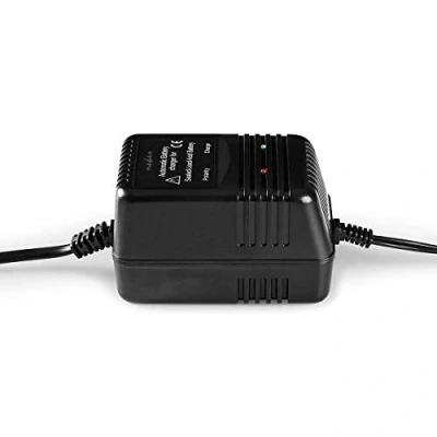 Image of Nedis Lead Acid Battery Charger 2/6/12 V