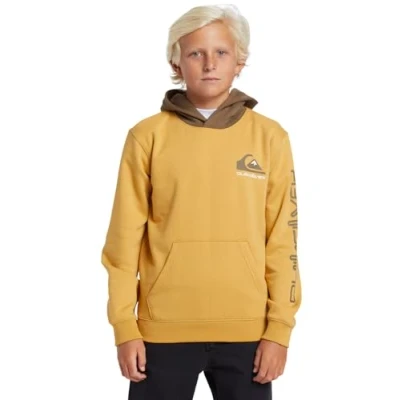 Image of Quiksilver Fleece sweater OMNI LOGO HOODIE Youth Yellow 16