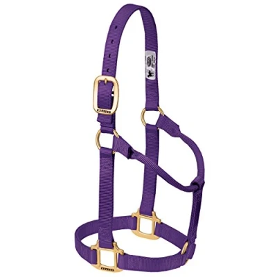 Image of Weaver Leather Original Non Adjustable Nylon Horse Halter, Purple, Yearling