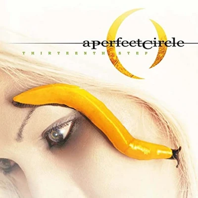 Image of A Perfect Circle Thirteenth Step 180gram 2014 UK 2 LP vinyl set MOVLP1114