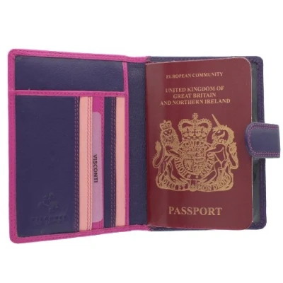 Image of VISCONTI Rainbow Collection Leather SUMBA Passport Holder RFID Blocking RB75 Berry Multi