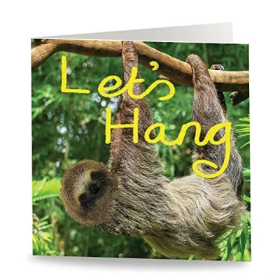 Image of Maturi &#039;Lets Hang&#039; Funny Humorous Sloth Birthday Greetings Card Blank Inside, 15.5 x cm