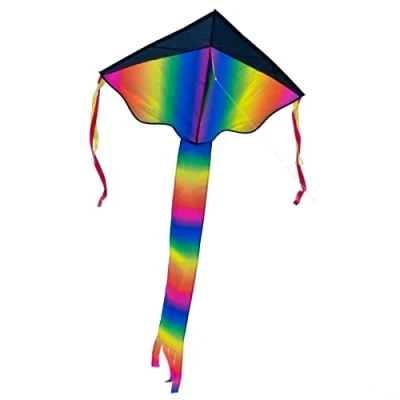 Image of CIM Large Kids kite SUPER Rainbow Delta XL blue Single line for children from the age of 6 years up 106x210cm including and striped tails