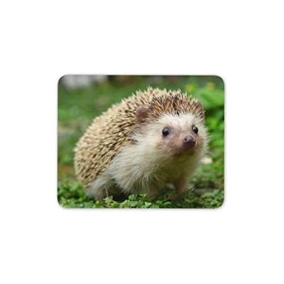 Image of Hedgehog Mouse Rubber Mat Pad Cute Garden Animals Kids Mum Fun Computer #8205
