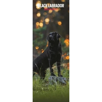 Image of Labrador Black 2025 Slim Calendar