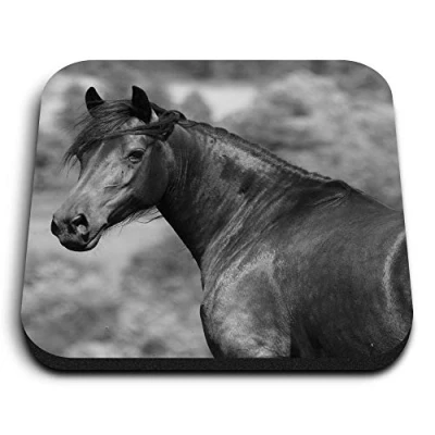 Image of 1 x Square MDF Fridge Magnet Welsh Cob Horse Pony 38951