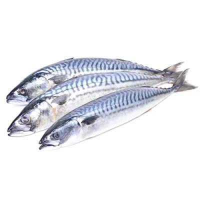 Image of London Grocery Fresh Mackerel Fish 1kg