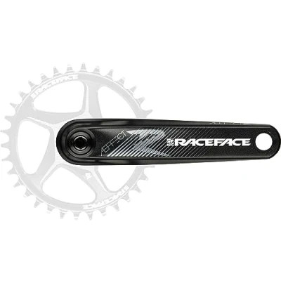 Image of Race Face CRANKS AEFFECT R EBIKE ARMS ONLY 170mm Black