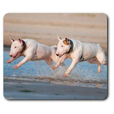 Image of English Bull Terrier Dogs Mouse Mat Pad Computer PC Laptop Gaming Office Home Desk Accessory Gadget 3255