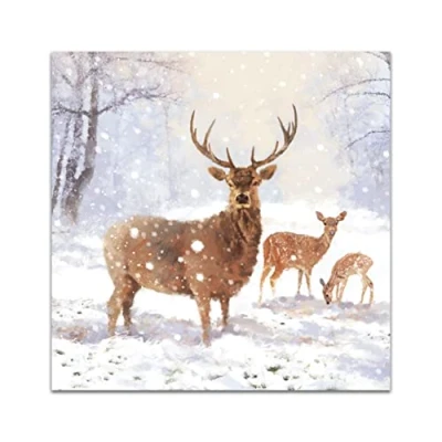 Image of Pack Of 8 Majestic Snowy Stag In Aid Mind Charity Christmas Cards Xmas 557014