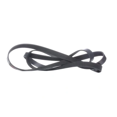 Image of 096628779 V ribbed belt FEBI BILSTEIN 29022 2403mm 6 EPDM (ethylene propylene diene Monomer (M class) rubber) MERCEDES BENZ: C Class Saloon