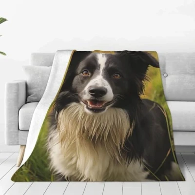 Image of Ultra Soft Micro Fleece Blanket Mohado Border Collie Dog Throw Warm Fuzzy Plush for Couch Lightweight Flannel Blankets Sofa All Season Cozy Microfiber 80&quot;x60&quot;