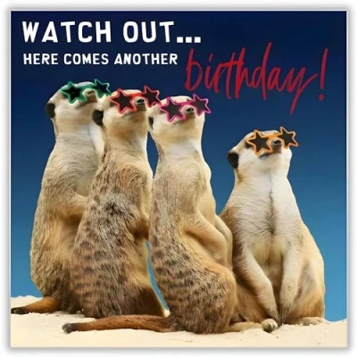 Image of Funny Male Female Birthday Card for Him Her General Men Women Meerkats Wearing Star Sunglasses Humorous Design Made in the UK Eco Friendly