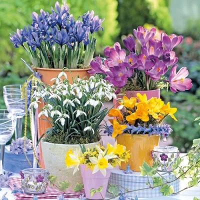 Image of Spring Bloomers Luncheon Napkins 3 Ply 33cm Pack of 20