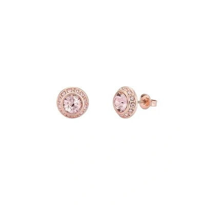 Image of Ted Baker Soletia Solitaire Sparkle Crystal Stud Earrings For Women (Rose Gold Tone/Crystal)