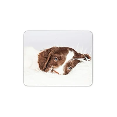 Image of Destination Vinyl Ltd Springer Spaniel Puppy Mouse Mat Pad Dog Dogs Mum Sister Gift Computer #8672