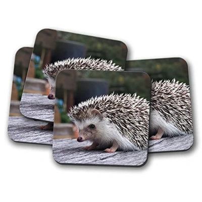 Image of 4 Set Adorable Hedgehog Backed Drinks Coaster Cute Animal Kids Mum #8301