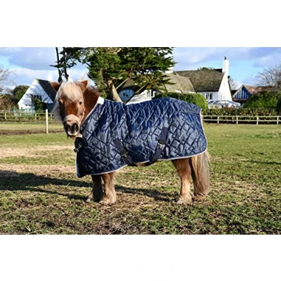 Image of Rhinegold Foal Texas Stable Quilt