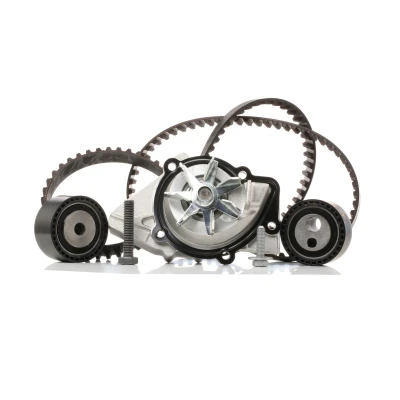 Image of 081696, 0816A9, 082960, 082961, 082962 water pump + Timing Belt Kit INA 530 0111 30 with 25,4mm PEUGEOT: 306 Hatchback, 206 Hatchback