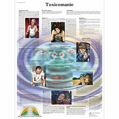 Image of 3B Scientific anatomical board, 1