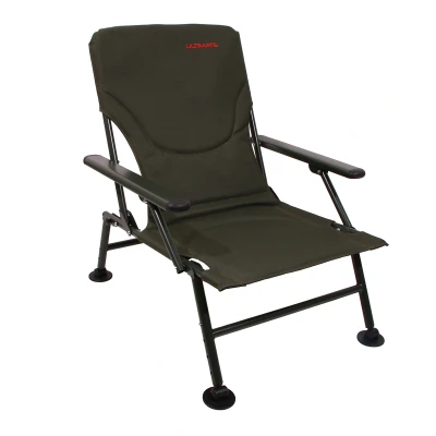 Image of Ultimate Comfort chair Carp