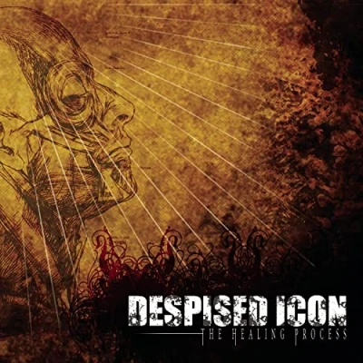 Image of The Healing Process (Alternate Mix Re issue + Bonus 2022) (LP) [VINYL]