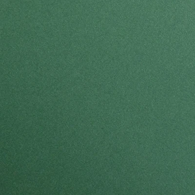 Image of Clairefontaine Ref 397279C Maya Coloured Drawing Paper (Pack of 12 Sheets) 270gsm 50 x 70cm Antique Green Colour Deep Dyed, Acid Free, pH Neutral