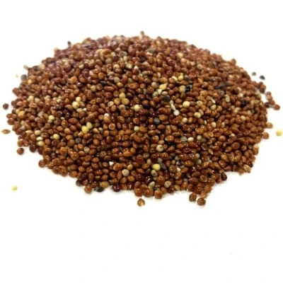 Image of 1.5kg RED MILLET SEED MIXED CAGE BIRD FOOD XLDS
