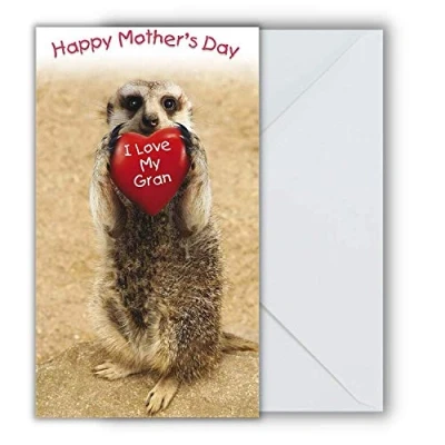 Image of Emotional Rescue Mother&#039;s Day Card For Gran, Gran Card, Meerkat, Face Ache, 130x235mm Multi, MW748