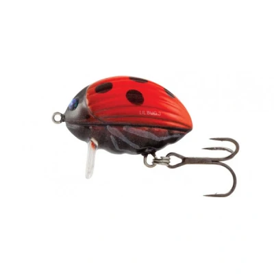 Image of Salmo Lil Bug Floating &#039;Ladybird&#039; 3cm (4,3g) Hard lure