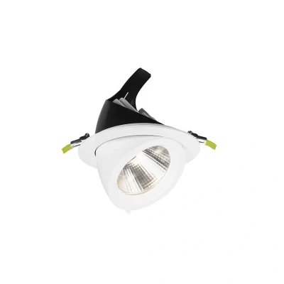 Image of Accentplus Scoop Adjustable Non Dimmable LED Downlight 30W 3000K Integral