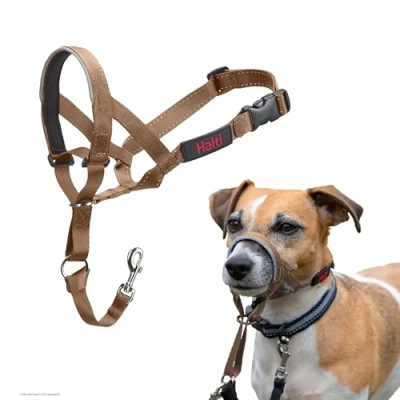 Image of HALTI Headcollar To Stop Your Dog Pulling on the Lead. Adjustable, Reflective and Lightweight, with Padded Nose Band. Training Anti Pull Collar for Small Dogs (Size 1, Desert Sand)