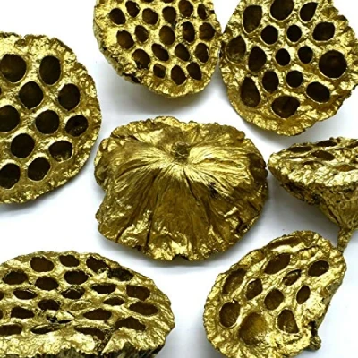 Image of 20 x Large Gold Dried Lotus Seed Heads Craft Wreath Florist Decoration Christmas