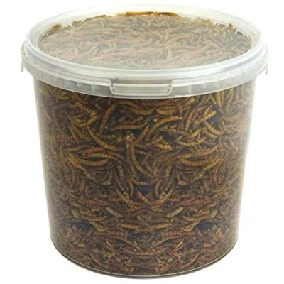 Image of GardenersDream Dried Mealworms Premium Garden Wild Bird Food Mix Balanced Formula Protein Rich Great Source of Energy Contains Beneficial Mixed Vitamins Large Variety (2.5L Tub)