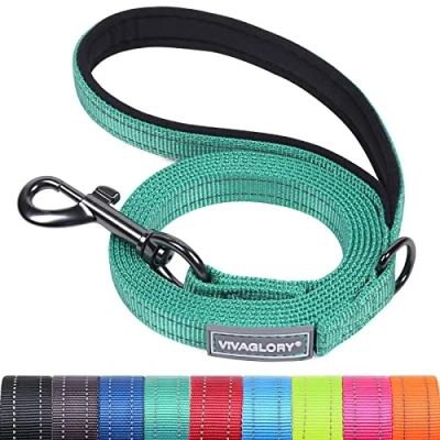 Image of VIVAGLORY Dog Lead, Walking Lead with Comfortable Neoprene Padded Handle, Heavy Duty Training for Small &amp; Medium Dogs
