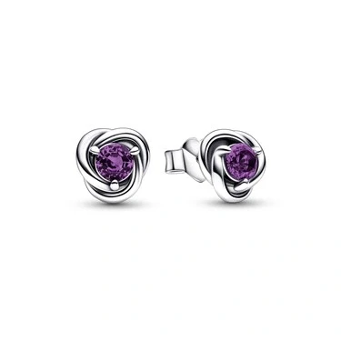 Image of Pandora February Purple Eternity Circle Stud Earrings Sterling Silver Birthstone with Man Made Stones for Women Gift Her No Box