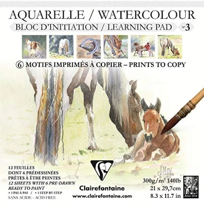 Image of Clairefontaine Ref 975147C Initiation No3 Watercolour Glued Pad (12 Sheets) A4 (210 x 297mm) in Size, 300gsm Etival Paper Suitabler for Learners